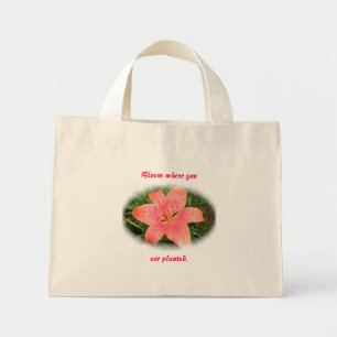 Red Orange Lily Bloom, wo Sie gepflanzt Tasche