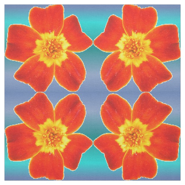 Red Orange Marigold Blume Blaues Hintergrundmuster Stoff (Muster)