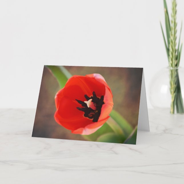 Red Orange Tulip Blume Art Note Card Karte (Vorderseite)