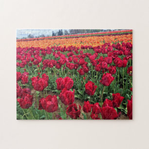 Red & Orange Tulip Field, Oregon Puzzle