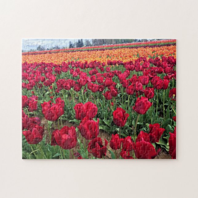 Red & Orange Tulip Field, Oregon Puzzle (Horizontal)