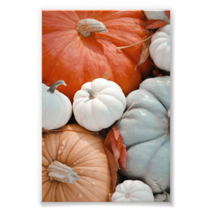 Red Orange White Blue Pumpkins Fotodruck