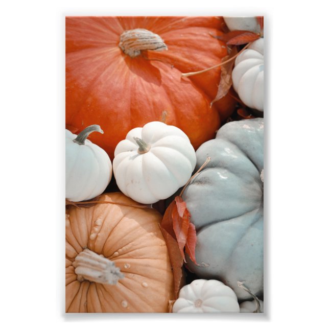 Red Orange White Blue Pumpkins Fotodruck (Vorne)