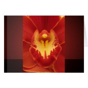 Red Orchid