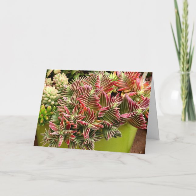 Red Pagoda Succulous card by Debra Lee Baldwin Karte (Vorderseite)