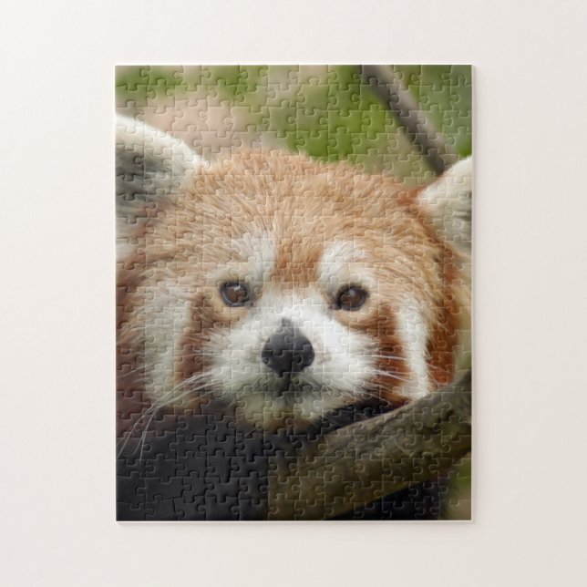 red-panda-010 puzzle (Vertikal)