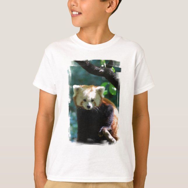 red-panda-11.jpg T-Shirt (Vorderseite)