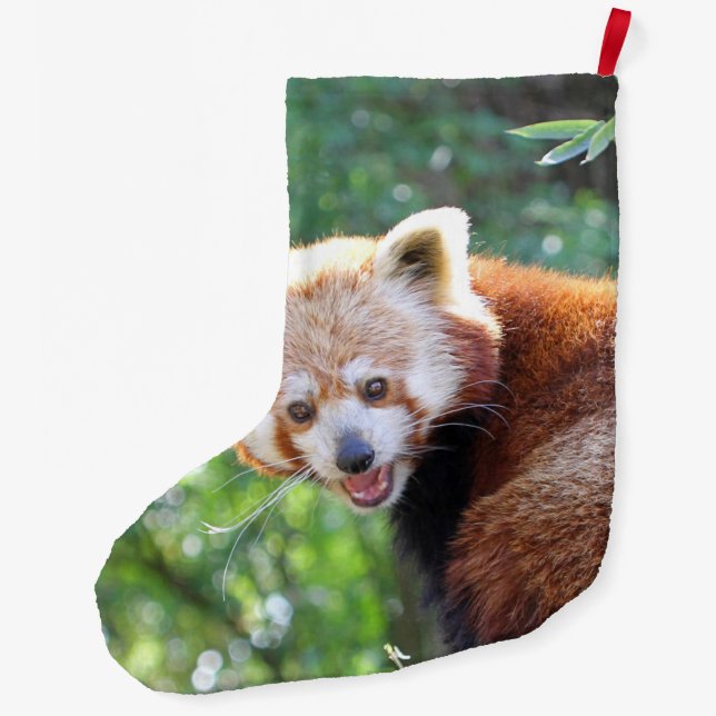 Red_Panda_2015_0306 Großer Weihnachtsstrumpf (Rückseite)