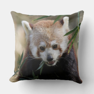 Red_Panda_2015_0311 Kissen