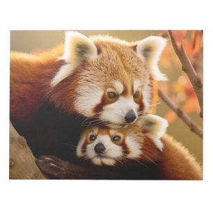 Red Panda Animal Wild Beauty Freedom Wilderness Notizblock