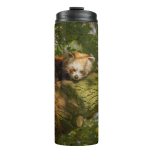 RED PANDA AUF DER BRANCHE VON GRÜNEN BÄUMEN THERMOSBECHER
