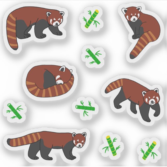 Red Panda Aufkleber (Vorderseite)