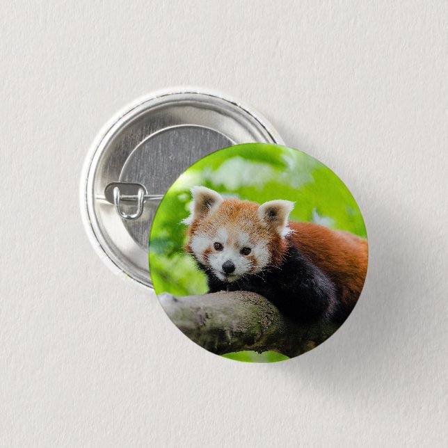 Red Panda Button (Vorne & Hinten)