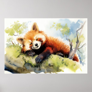 Red Panda Entspannen in Garden Animal Fun glücklic Poster