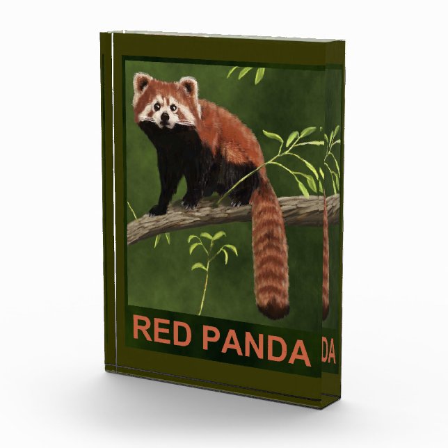 Red Panda Fotoblock (Rechts)