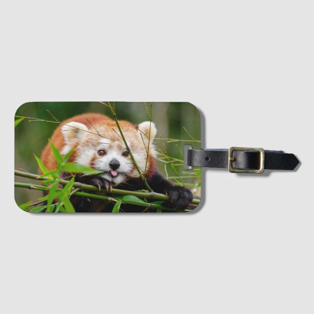 Red Panda Gepäckanhänger (Vorderseite (Horizontal))