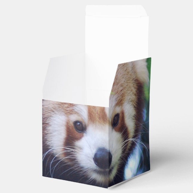 Red Panda Geschenkschachtel (Geöffnet)