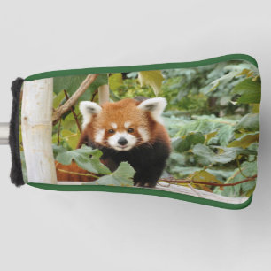 Red Panda Golf Headcover