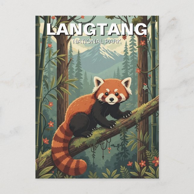 Red Panda in Langtang Nationalpark Nepal Postkarte (Vorderseite)