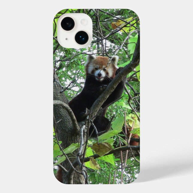 Red Panda iPhone Case iPhone Hülle (Rückseite)