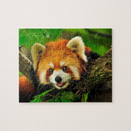 Red Panda Jigsaw Puzzle