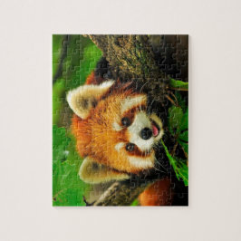 Red Panda Jigsaw Puzzle