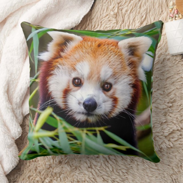 Red Panda Kissen (Decke)