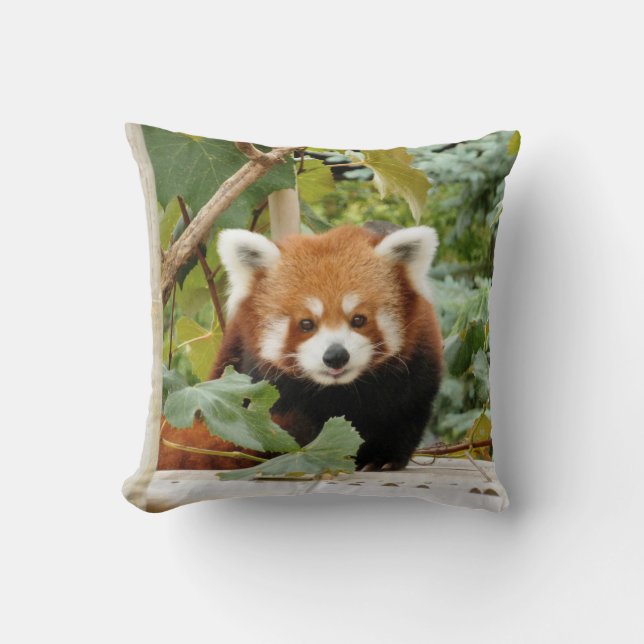 Red Panda Kissen (Vorderseite)