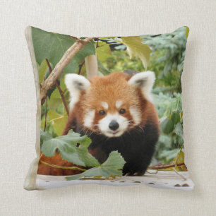 Red Panda Kissen