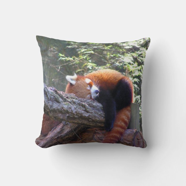 Red Panda Kissen (Vorderseite)