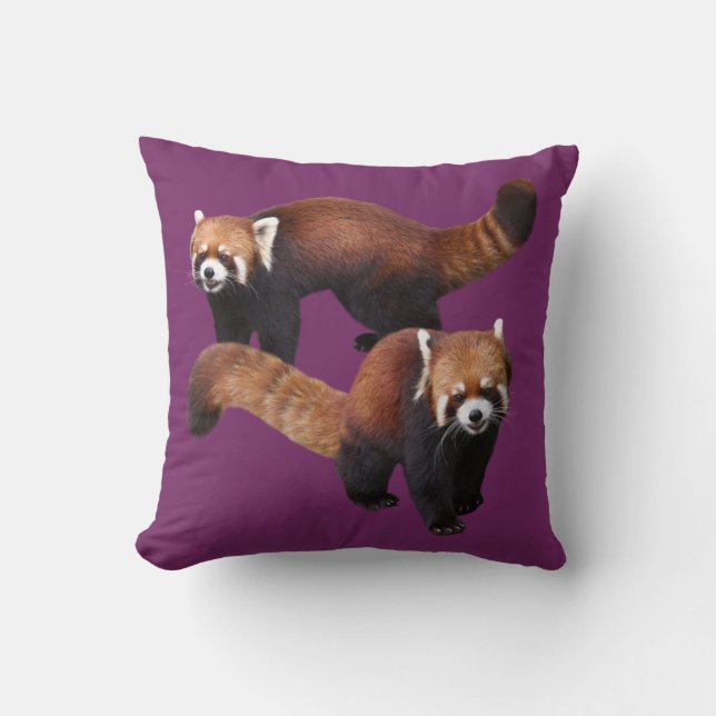 Red Panda Kissen (Vorderseite)