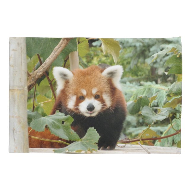 Red Panda Kissenbezug (Rückseite)