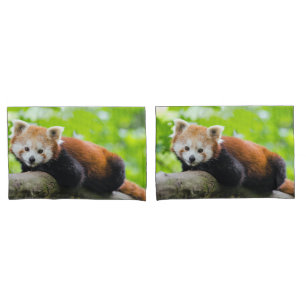 Red Panda Kissenbezug