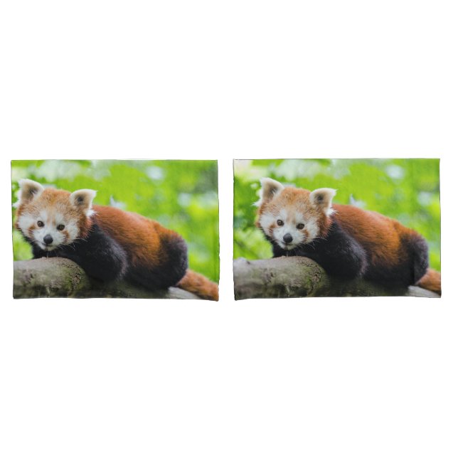 Red Panda Kissenbezug (Vorderseite-Set)