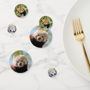 Red Panda Konfetti
