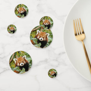 Red Panda Konfetti