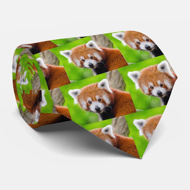 Red Panda Krawatte (Gerollt)