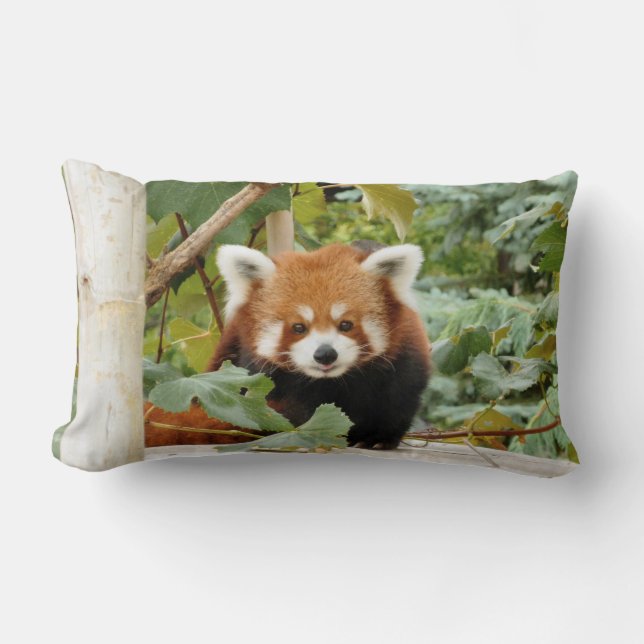 Red Panda Lendenkissen (Vorderseite)