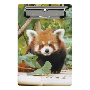 Red Panda Mini Klemmbrett