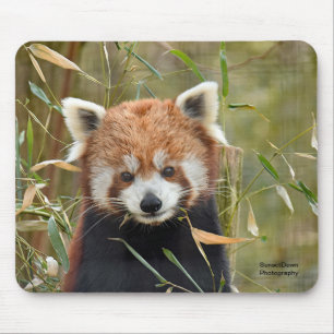Red Panda Mousepad