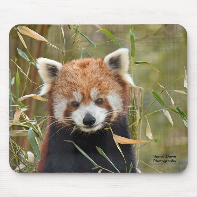 Red Panda Mousepad (Vorne)