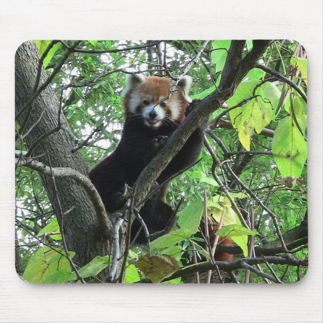 Red Panda Mousepad (Vorne)