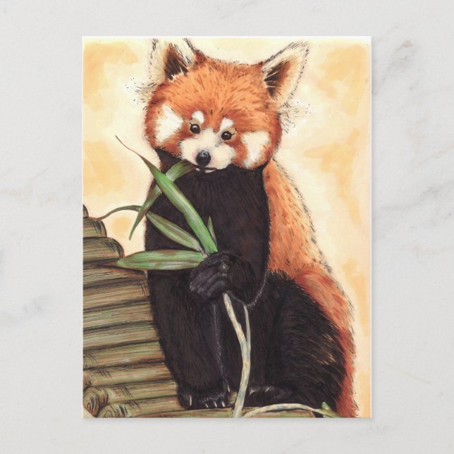 Red Panda Nom Postkarte (Vorderseite)