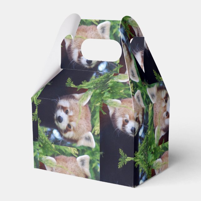 Red Panda Pattern Geschenkschachtel (Vorderseite)