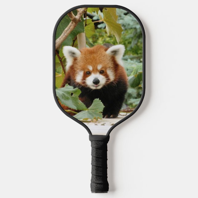 Red Panda Pickleball Schläger (Vorderseite)