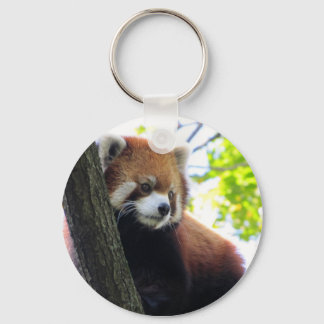 Red Panda Portrait Schlüsselanhänger