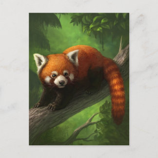 Red Panda Postcard Postkarte