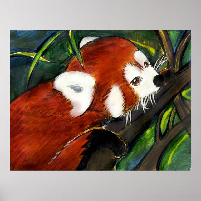 Red Panda Poster (Vorne)