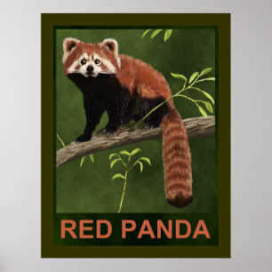 Red Panda Poster
