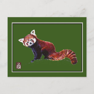 Red Panda Postkarte